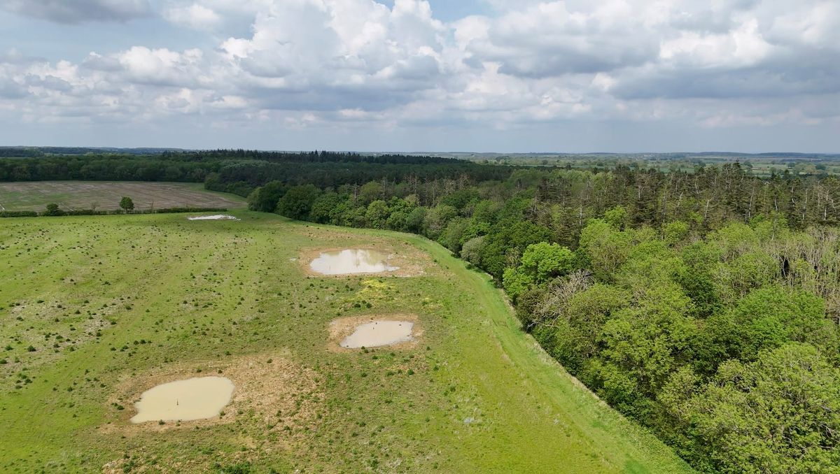 Boothby Wildland, Lincolnshire