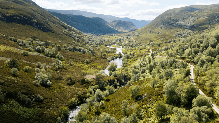 New funding to boost investment-readiness for nature markets in Scotland