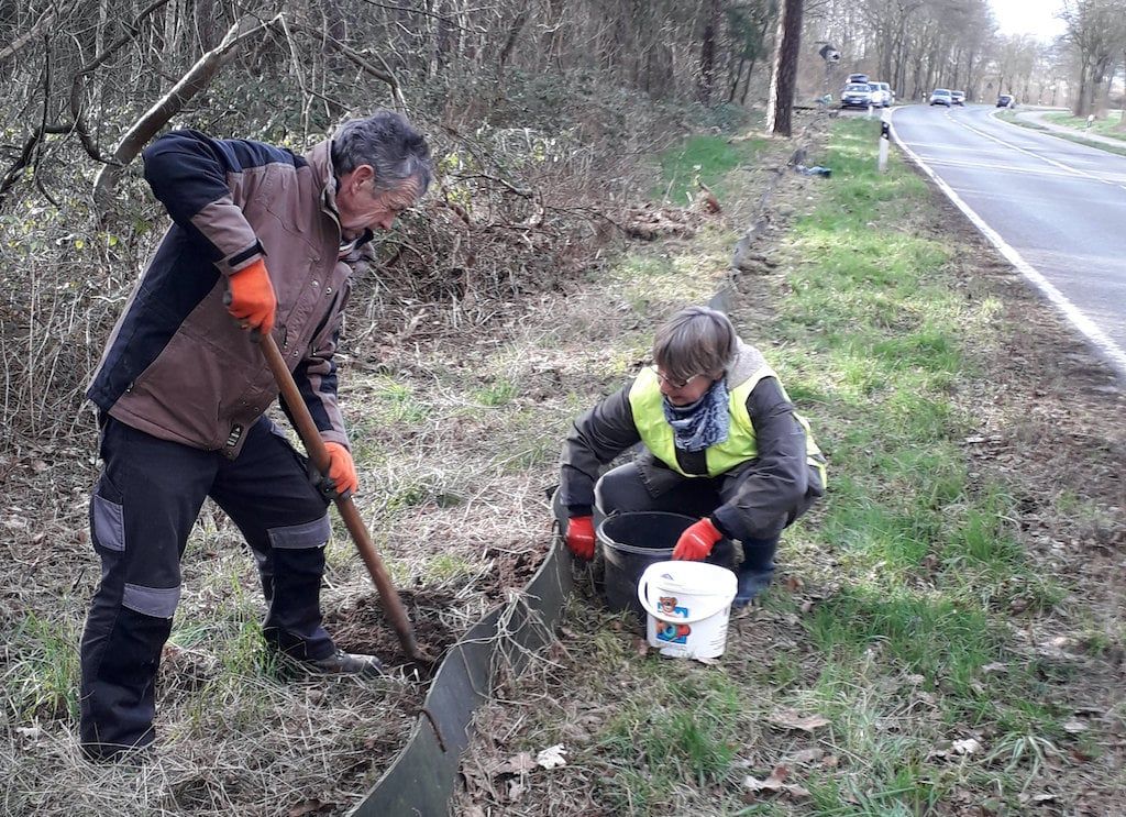 Instandsetzung des Krötenzaunes an der K1 in Tüddern