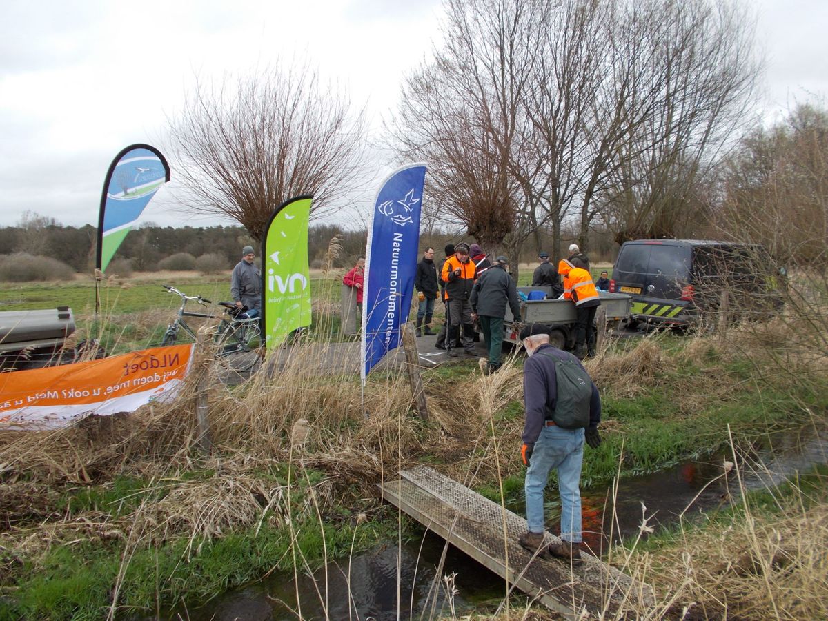 Einladung zum 10. Internationalen Naturwerktag am 25. Februar 2023