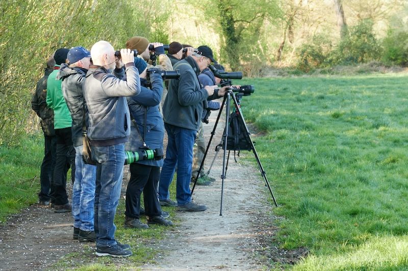 Vogelkundliche Wanderung des NABU-Selfkant am 01. Mai 2025