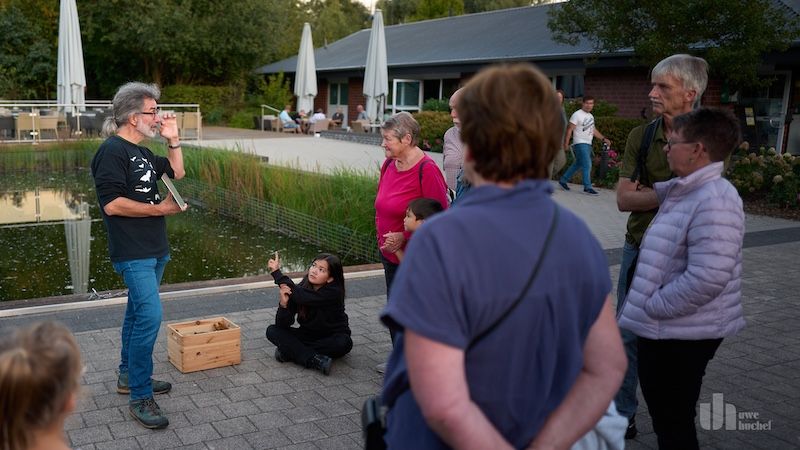 Fledermäuse beobachten