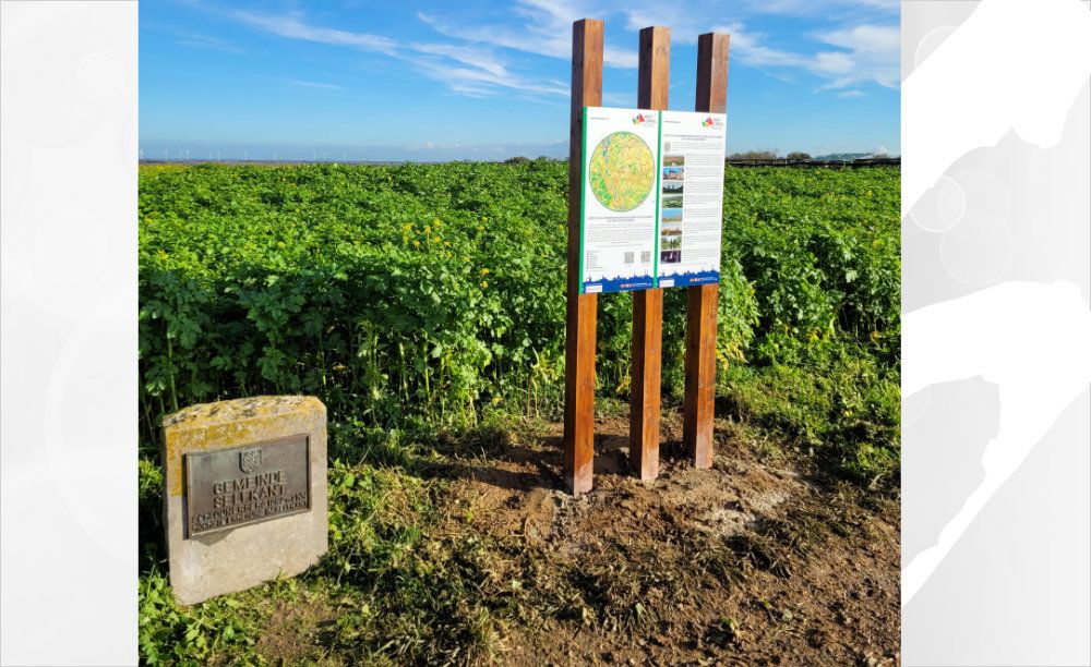 Kennzeichnung des „Höchster Punkt des Selfkant – Schlouner Berg“