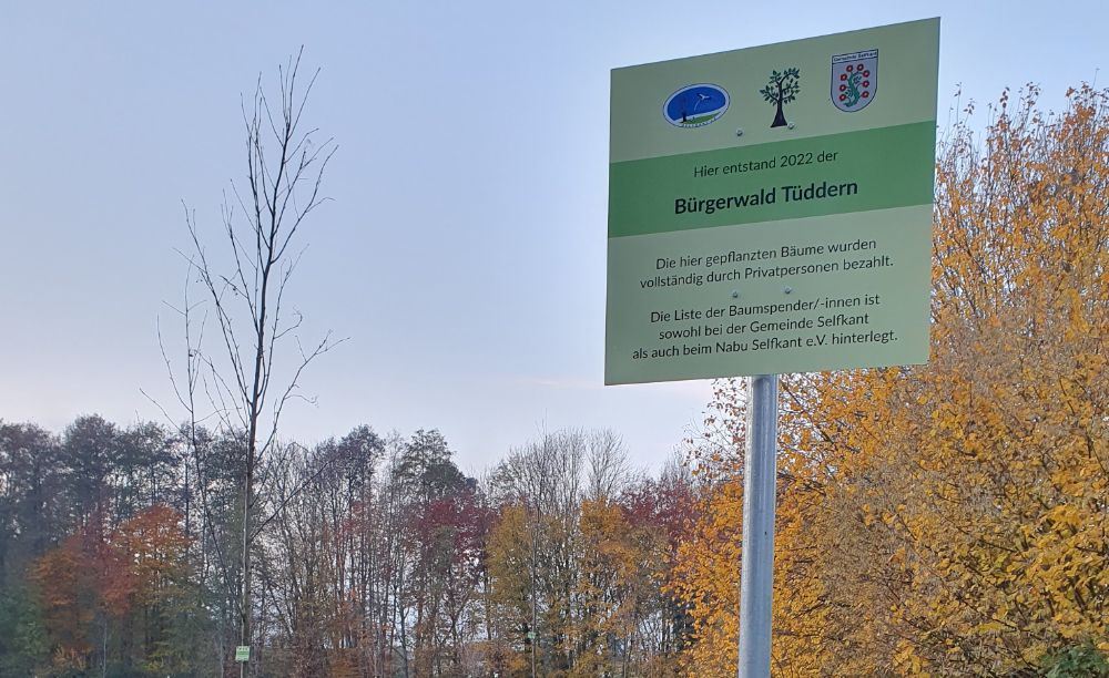 Bürgerwald Tüddern - nachbelichtet