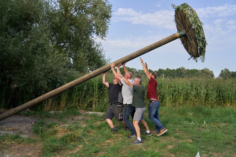 Die Störche können kommen