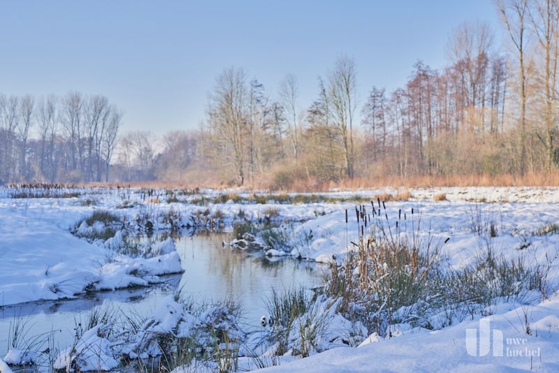 Die Zeit ist reif für einen zweiten Nationalpark in NRW