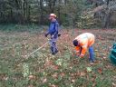 Heidepflege in Gangelt