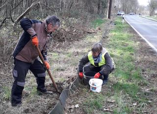 Instandsetzung des Krötenzaunes an der K1 in Tüddern