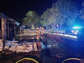 Stallungsbrand bedroht Reithalle