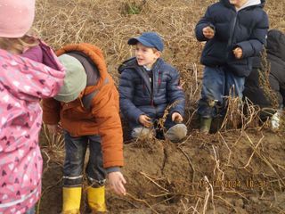 Erlebnis auf dem Kartoffelfeld!