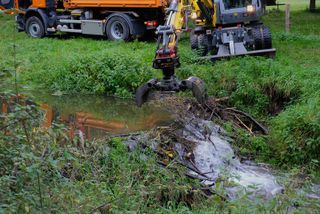 Bibermanagement im Selfkant (2)