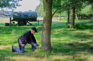 Bibermanagement im Selfkant