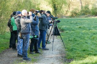 Vogelkundliche Wanderung des NABU-Selfkant am 01. Mai 2025