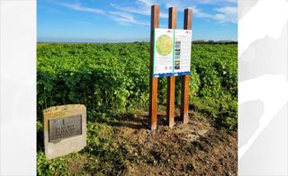 Kennzeichnung des „Höchster Punkt des Selfkant – Schlouner Berg“
