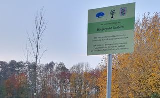 Bürgerwald Tüddern - nachbelichtet