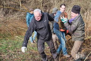 Einladung zum 11. Internationalen Naturwerktag am 22. Februar 2025