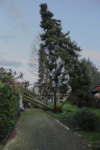 Sturm Zeynep sorgt für zahlreiche Einsätze im Kreis Heinsberg (Update)
