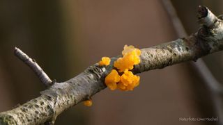 So lösen wir alle Finanzprobleme !