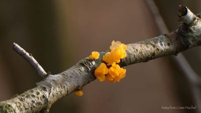 So lösen wir alle Finanzprobleme !