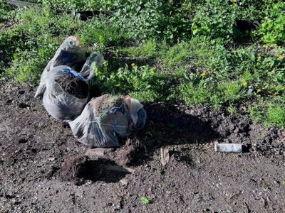 Illegale Müllentsorgung gefällt Ihnen das?