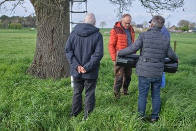 Aktiver Steinkauzschutz in der Region