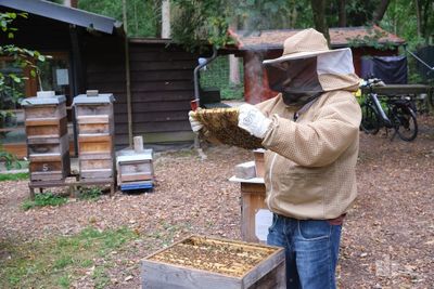 Faszinierende Einblicke in das Leben der Bienen
