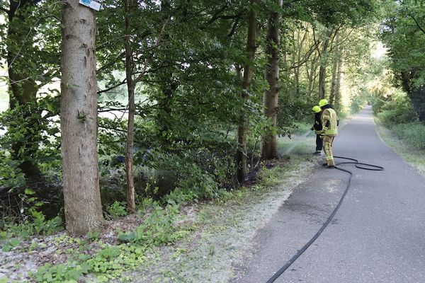 Vegetationsbrand am Waldrand in Gangelt