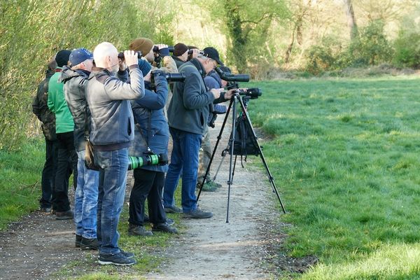 Vogelkundliche Wanderung des NABU-Selfkant am 01. Mai 2025