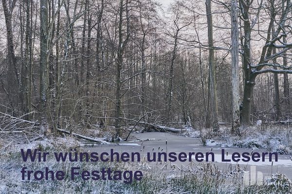 Weihnachtsgrüße