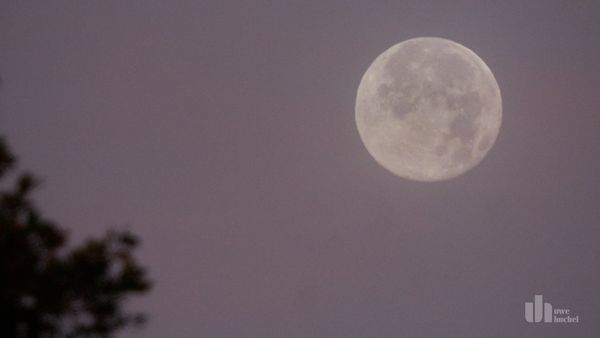 Supermond