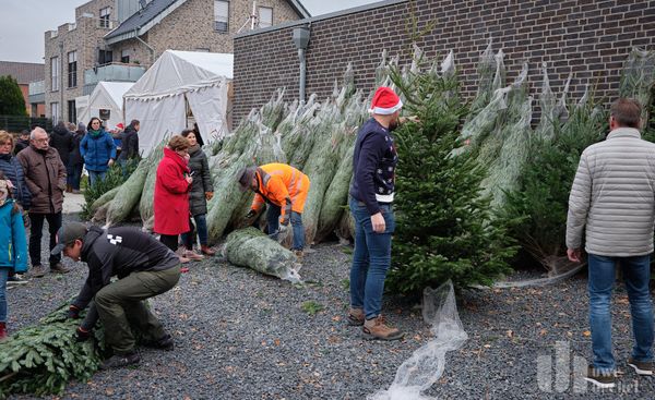 O Tannenbaum