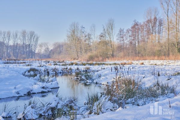 Die Zeit ist reif für einen zweiten Nationalpark in NRW