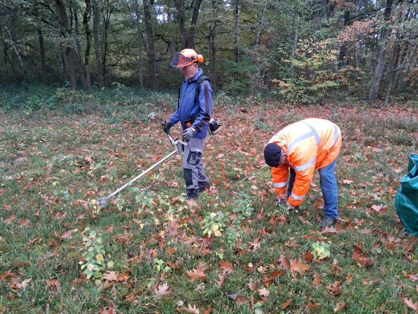 Heidepflege 2025