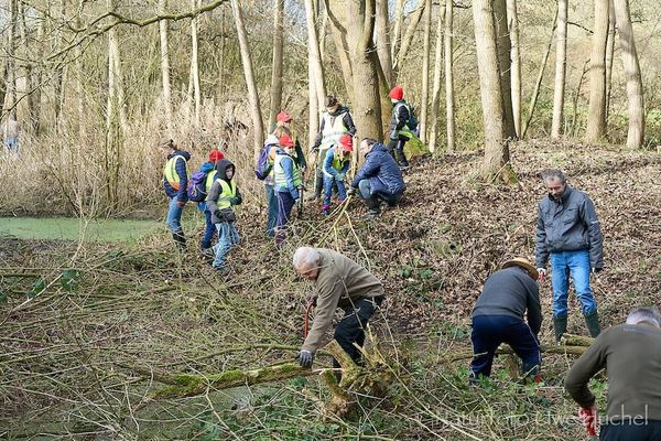 Traditioneller Naturwerktag wieder gut besucht
