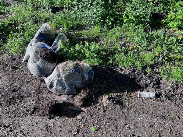 Illegale Müllentsorgung gefällt Ihnen das?