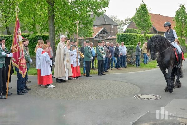 Feierliche Einladung zur Quirinus‑Pferdesegnung