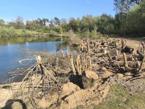 Was passiert am Safari See?