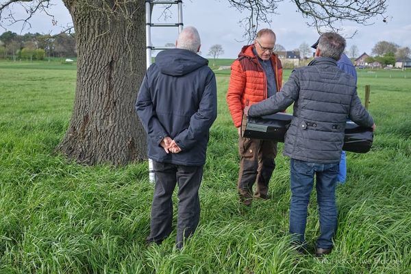 Aktiver Steinkauzschutz in der Region