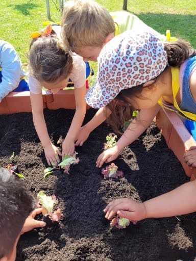 Der kath. Sprachkindergarten „Rappelkiste“ aus Tüddern  freut sich über ein neues Gemüsebeet
