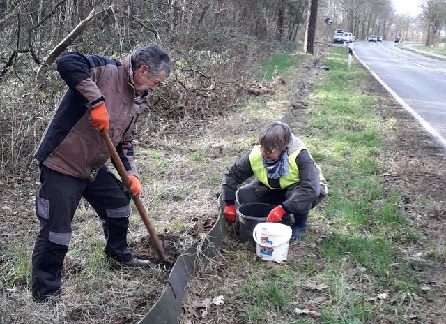Instandsetzung des Krötenzaunes an der K1 in Tüddern