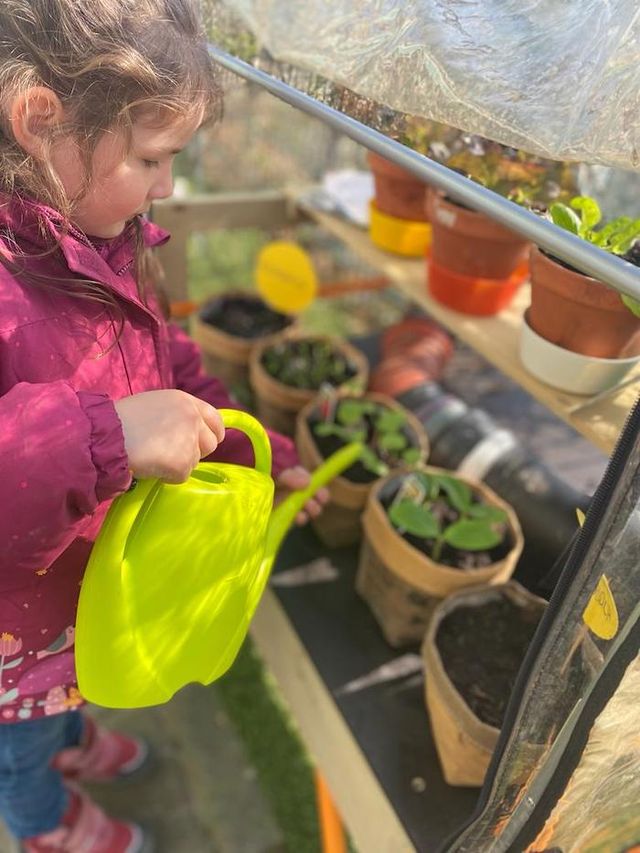 Kinder züchten ihr Gemüse selber