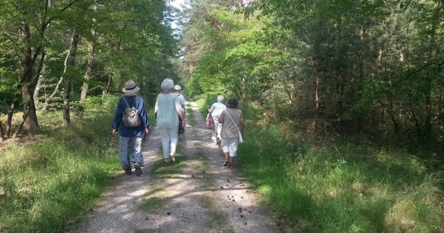 Ausbildung zur ehrenamtlichen Hospizbegleiterin oder zum Hospizbegleiterin