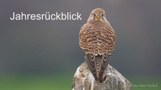 Jahresrückblick