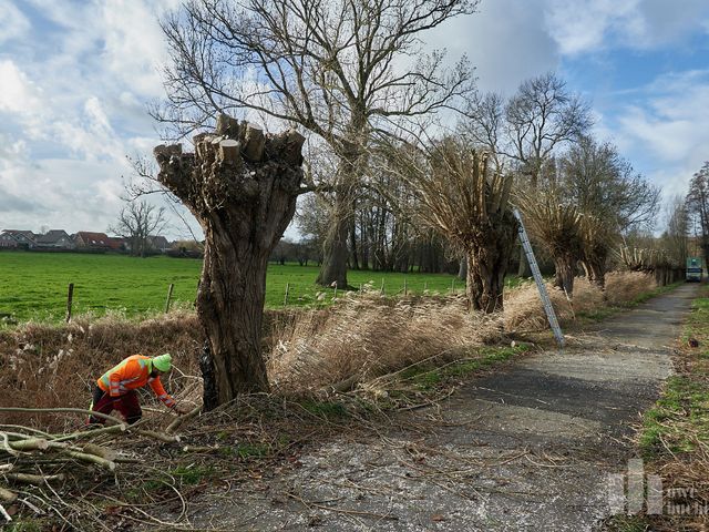 Nächster Abschnitt am Rodebach wird renaturiert