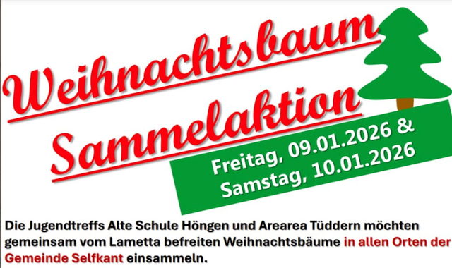 Wir entsorgen Ihren Weihnachtsbaum