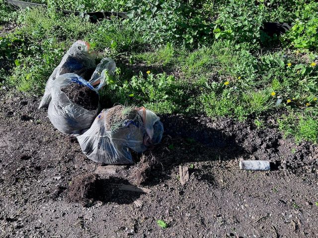 Illegale Müllentsorgung gefällt Ihnen das?