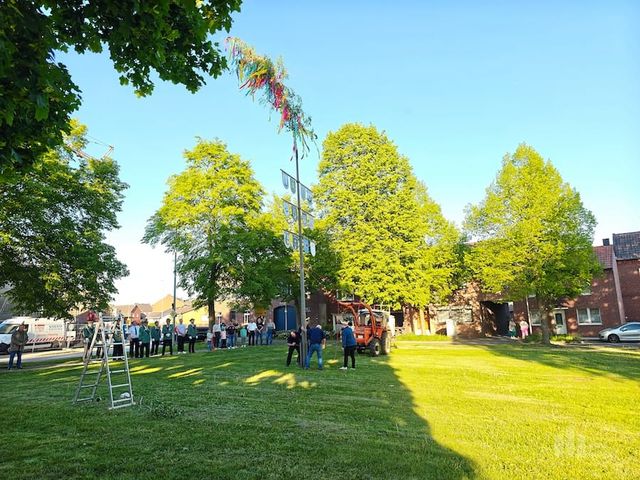 Süsterseel, der Maibaum steht