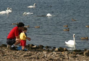 Chasewater Country Park Chasewater Country Park