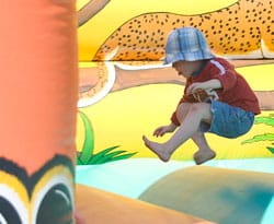 bouncycastle Child on a bouncy castle. Pic: Paul Mullett