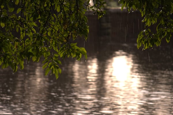 Flooding in Lichfield by Nick Brickett Flooding in Lichfield by Nick Brickett